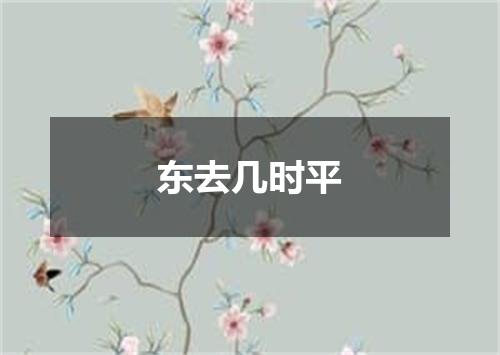 东去几时平