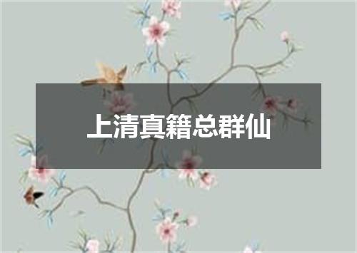 上清真籍总群仙