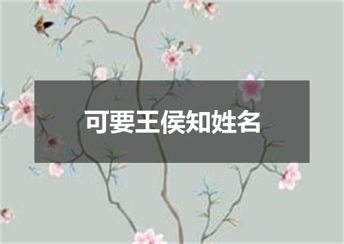 可要王侯知姓名