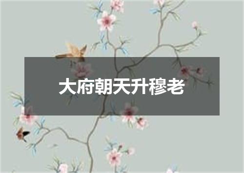 大府朝天升穆老
