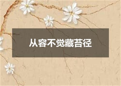从容不觉藏苔径