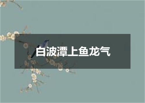 白波潭上鱼龙气
