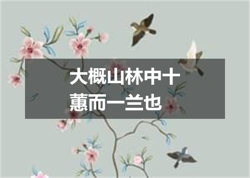 大概山林中十蕙而一兰也