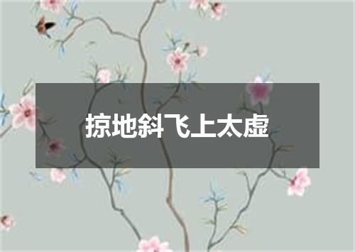 掠地斜飞上太虚