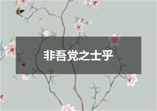 非吾党之士乎