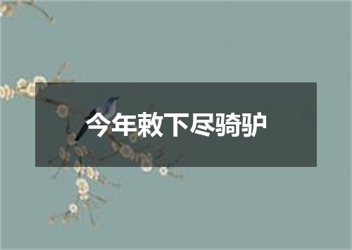 今年敕下尽骑驴