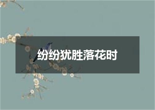纷纷犹胜落花时