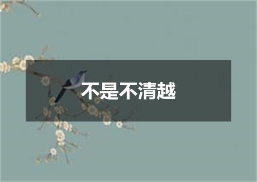 不是不清越