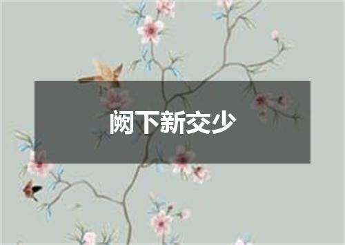 阙下新交少