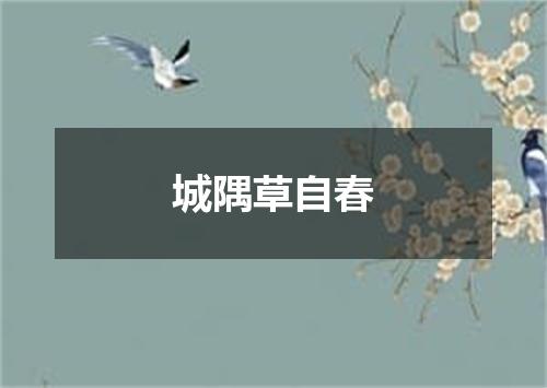 城隅草自春
