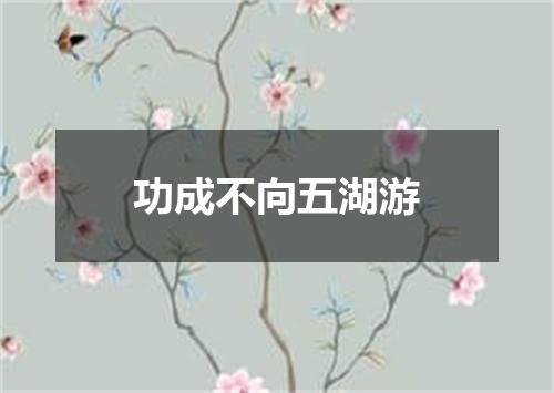 功成不向五湖游
