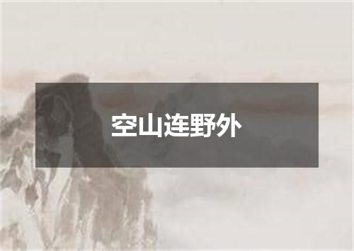 空山连野外