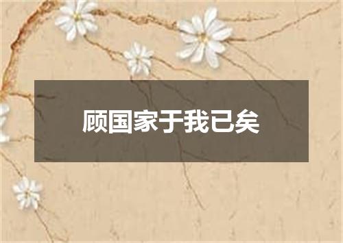 顾国家于我已矣