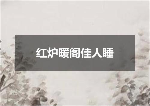红炉暖阁佳人睡