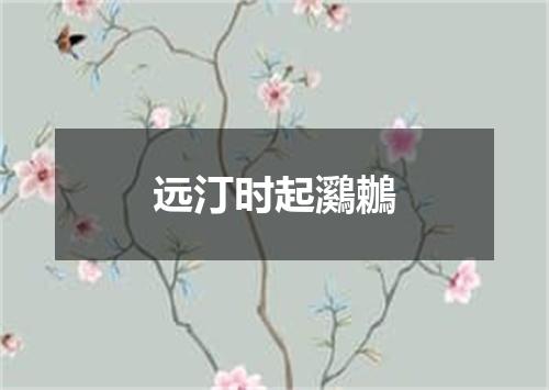 远汀时起鸂鶒