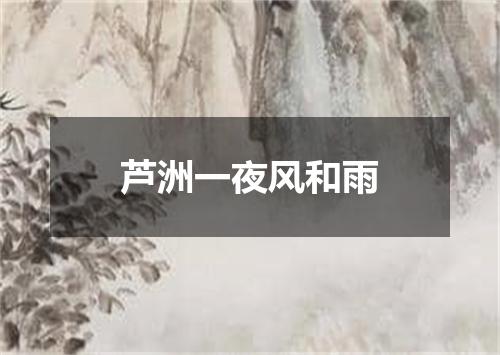 芦洲一夜风和雨