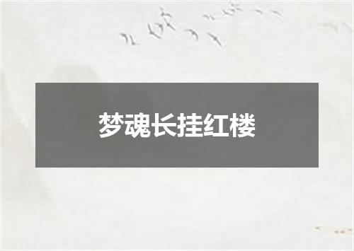 梦魂长挂红楼