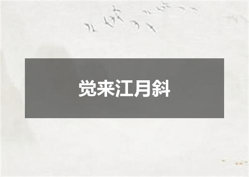 觉来江月斜