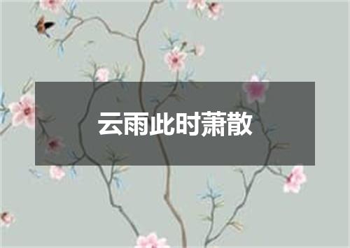 云雨此时萧散