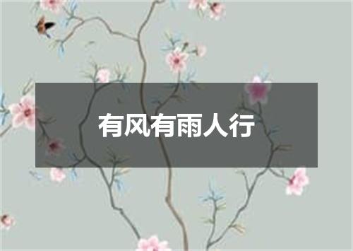 有风有雨人行