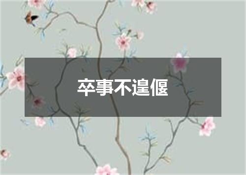 卒事不遑偃
