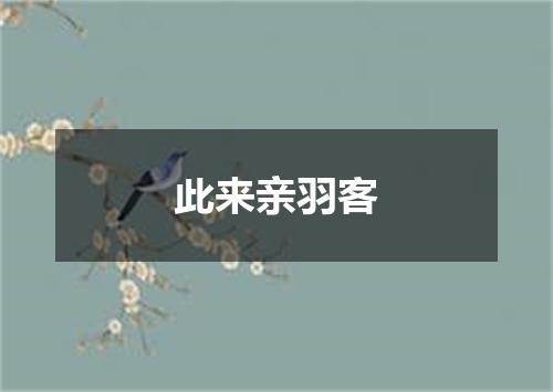 此来亲羽客