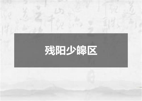 残阳少皞区