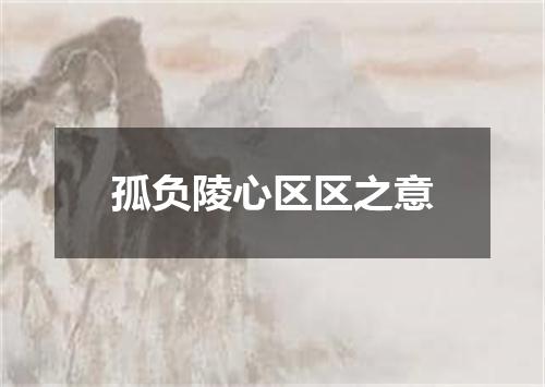 孤负陵心区区之意