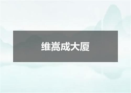 维嵩成大厦