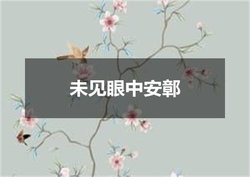 未见眼中安鄣