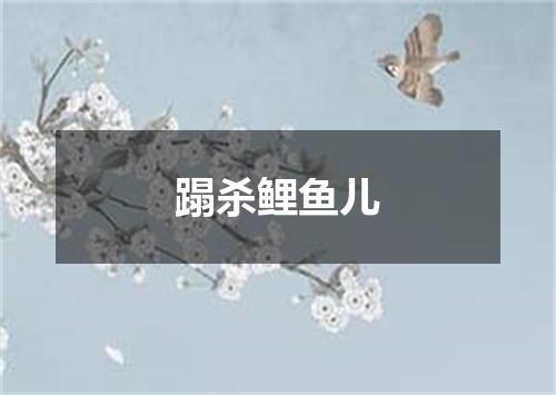 蹋杀鲤鱼儿
