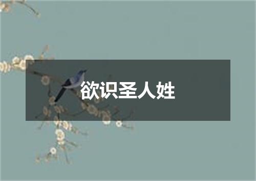 欲识圣人姓