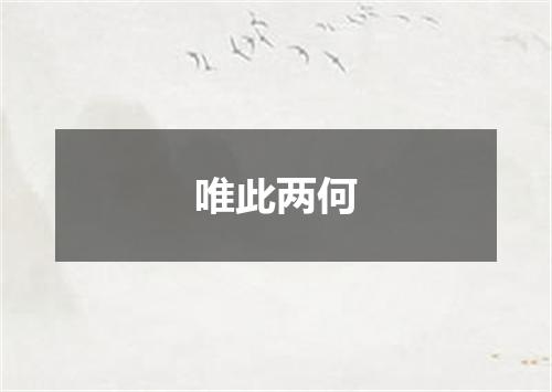 唯此两何