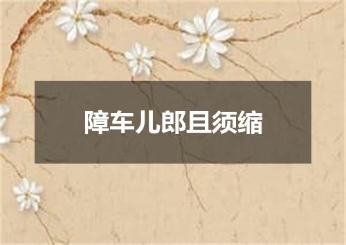 障车儿郎且须缩