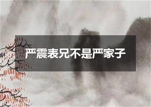 严震表兄不是严家子