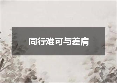 同行难可与差肩
