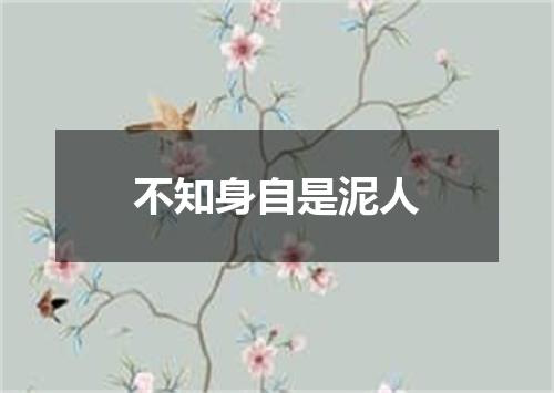 不知身自是泥人