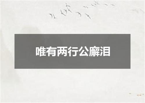 唯有两行公廨泪