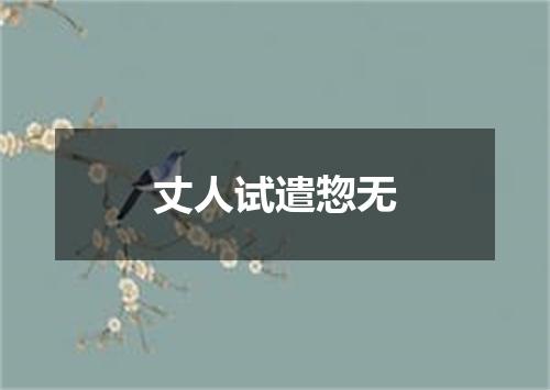 丈人试遣惣无