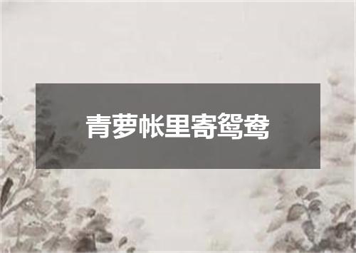 青萝帐里寄鸳鸯