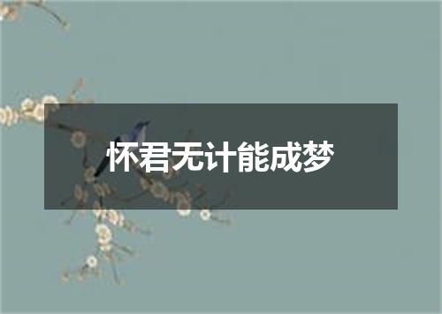 怀君无计能成梦