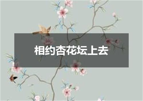 相约杏花坛上去