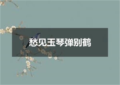 愁见玉琴弹别鹤