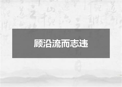 顾沿流而志违