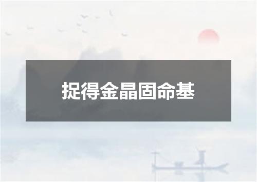 捉得金晶固命基