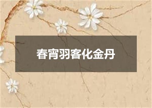 春宵羽客化金丹
