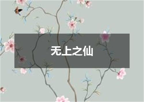无上之仙