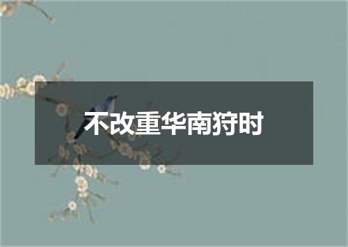 不改重华南狩时