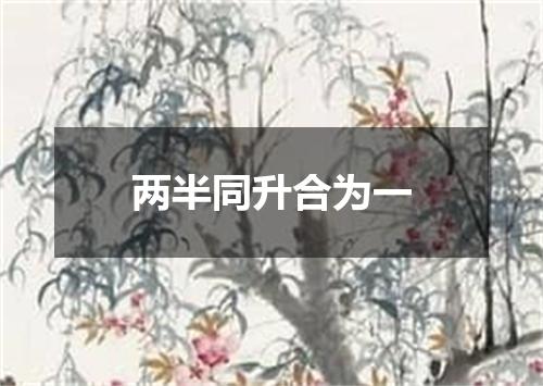 两半同升合为一