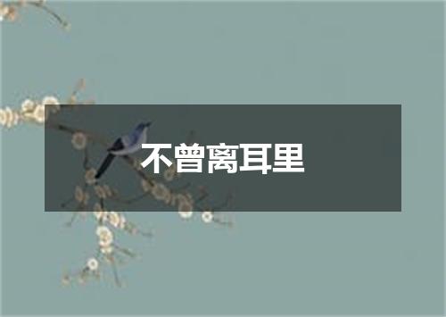 不曾离耳里
